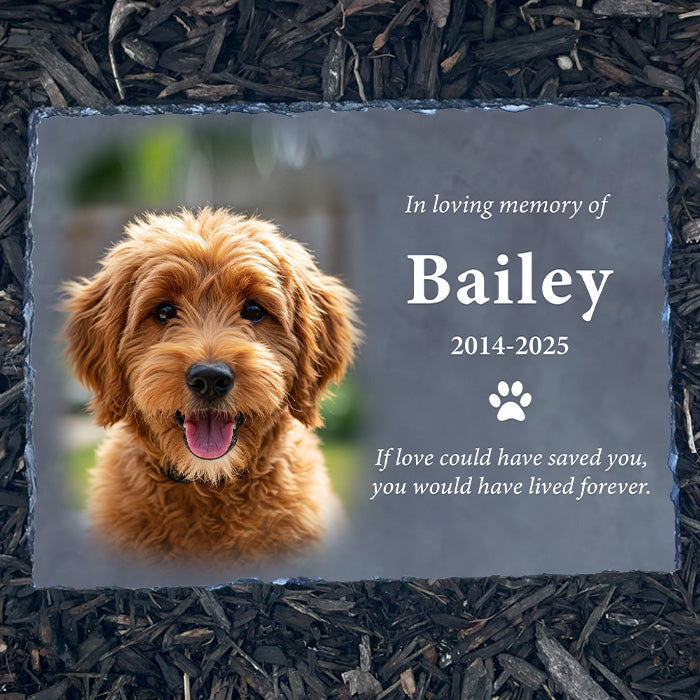 Dog Memorial Picture Frame - Personalized Pet Loss Gift
