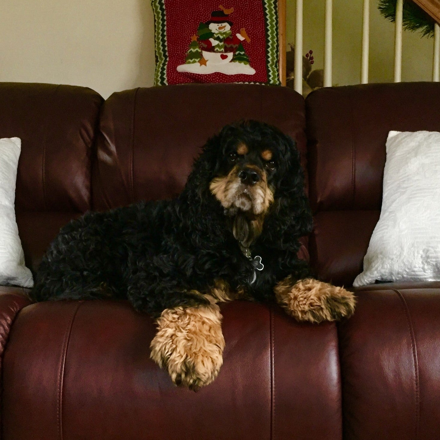 Custom natural slate pet memorial stone for Jax, a 2013-2026 rescue dog tribute with Sherry Z. verified purchase review.