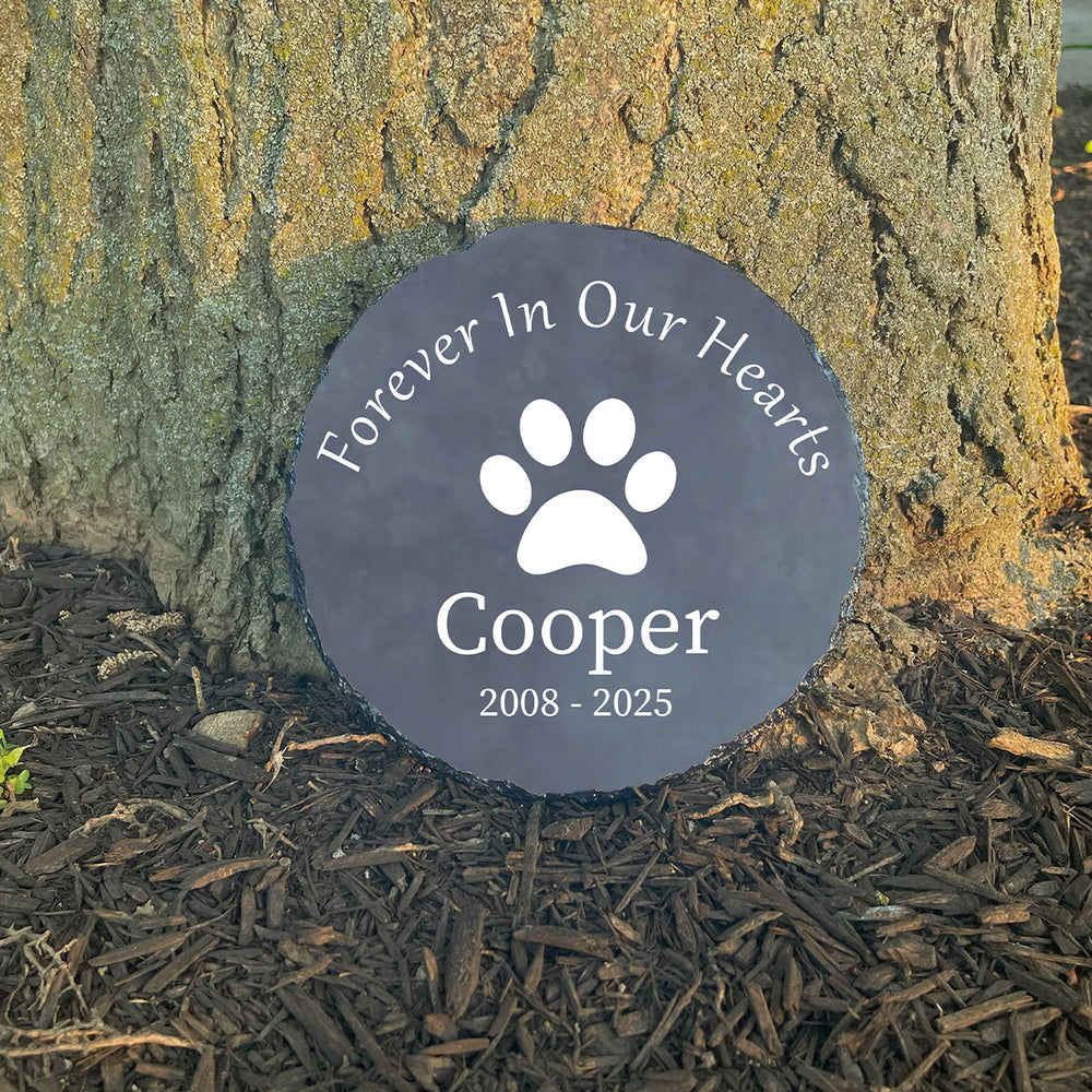 Personalized paw print pet memorial stone at sunlit tree base. Customized with name Cooper. Sympathy gift for loss of dog.