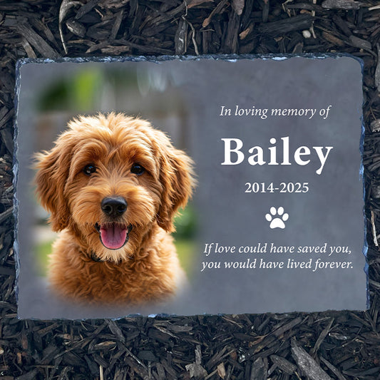 Dog Memorial Picture Frame - Personalized Pet Loss Gift