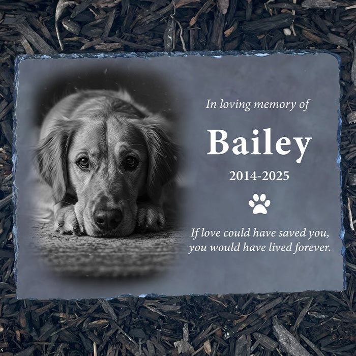 Personalized photo pet memorial plaque on mulch. Customized with dog Bailey. Sympathy gift for loss of dog with "If love could have saved you" quote.